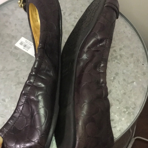 Coach Destin Flats with Buckle - Picture 6 of 9